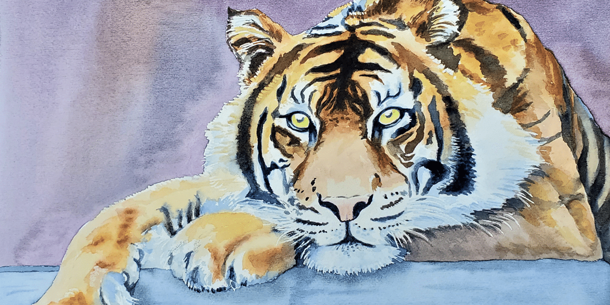 Tiger by Juliette Swenson