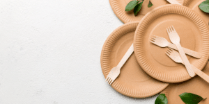 Biodegradable plates and utensils with green leaves
